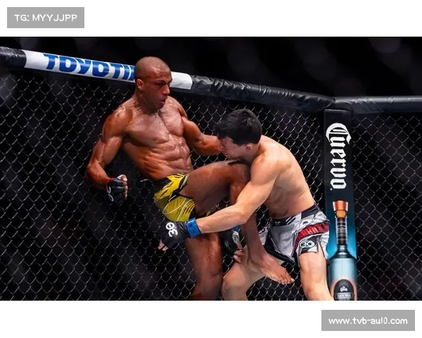 奎兰萨尔基尔高扫KO技惊四座 成业余拳手学习典范 奎兰萨尔基尔高扫KO技惊四座 成业余拳手学习典范